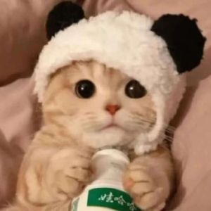 把自己过成诗 最简单也最精致