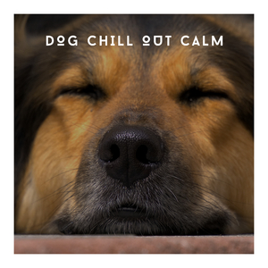Stress Free Dog Calm
