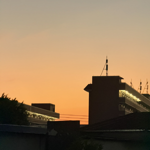 你爱的第一个人是你灵魂缺失的拼图