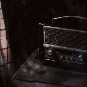 Velvet Threads of Harmony