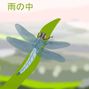 雨の中
