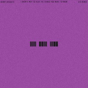 I Know A Way To Hear The Things You Want To Know (573 Remix)