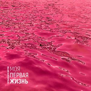 пересадка (инструментал)