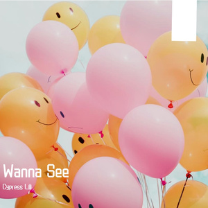 Wanna See（Extended Mix)