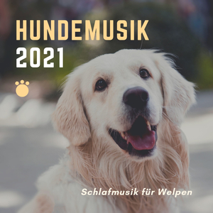 Entspannungsmusik & Wellness