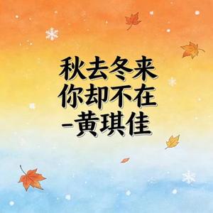 秋去冬来你却不在 (烟嗓版)
