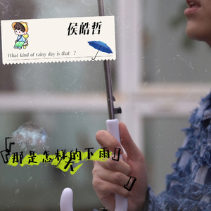 那是怎样的下雨天