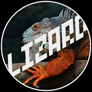 Lizard (Original Mix)