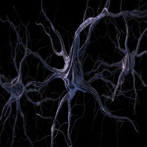 Neuroplasticity