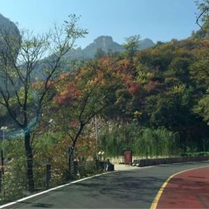 卖掉了理想卖尊严 (烟嗓版)