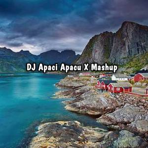 DJ Apaci Apacu X Mashup 2022