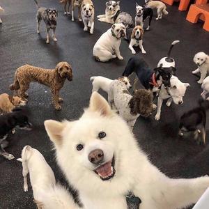 I wanna be a winner（xhhhw remix）