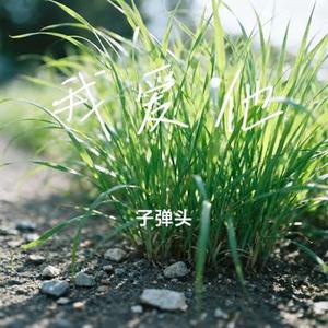 我爱他 (子弹头 Remix)