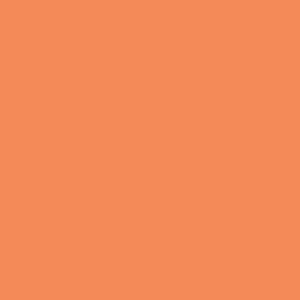'30℃'--CHICHI x SECTION8