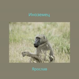 Иноземец