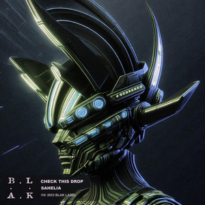 Check This Drop (Original Mix)