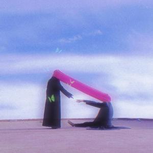 镜子中的蝴蝶(Butterfly)