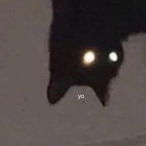 me waking up at 3:00am