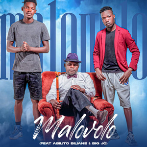 Malovolo