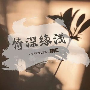 情深缘浅