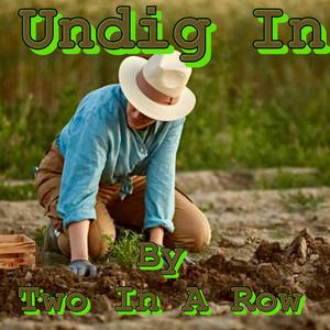 Undig In