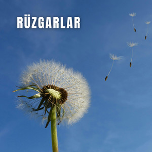 Rüzgarlar