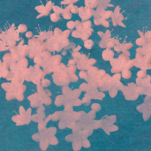 사랑해 그리고 미워해