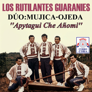 Apytagui Che Añomi