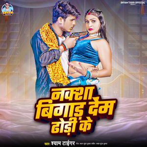 Naksa Bigad Dem Dhodi Ke