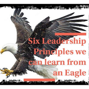 Six Leadership Principles We Can Learn from an Eagle