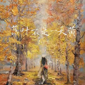 落叶不是一天黄 (DJ阿能版)