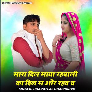 मारा दिल माया रहबाली का दिल म ओर रहव च