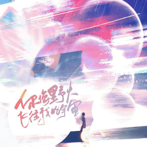 你像野火飞往我的宇宙