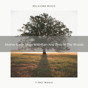 Nature Calls With Cicadas And Meadow Noises