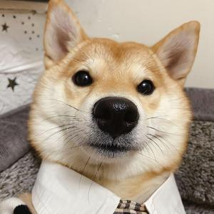 温暖的记忆
