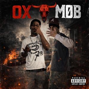 Ox møb
