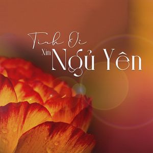 Tình Ơi Xin Ngủ Yên