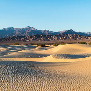 我的生命是一万次的春和景明