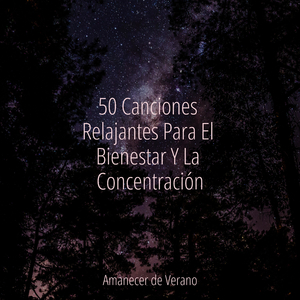 Melodías Brumosas del Amanecer