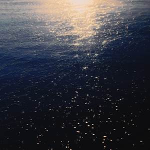 Brazil (with Èlia Lucas, Tomàs Pujol & Adrià Claramunt)