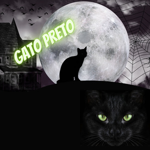Gato Preto Tp