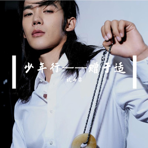 少年行——赠于适