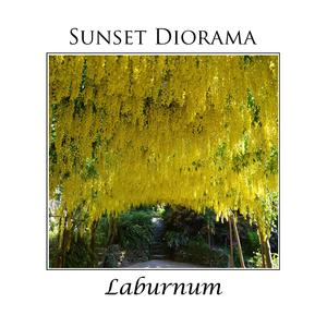 Laburnum (Andy Kidd's Sunset Remix)