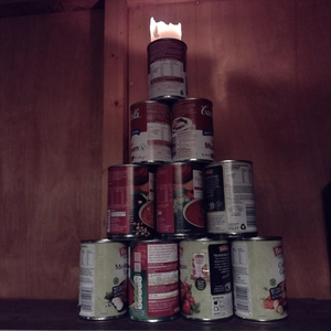 Tinned Soup and Shotgun Shells