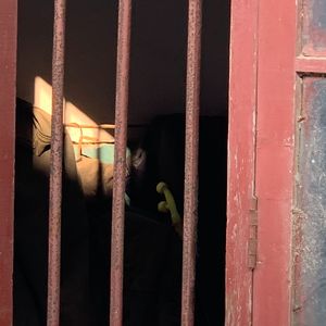 这首歌毁了我的账号...