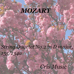 String Quartet No.2 in D Major, K.155/134a: 1. Allegro