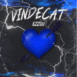 VINDECAT