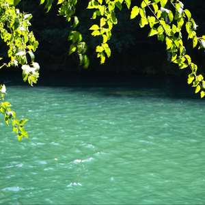 莲下月古筝翻奏