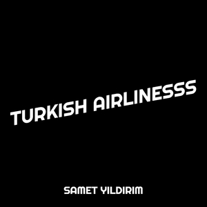 Turkish Airlinesss