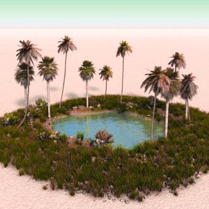Oasis